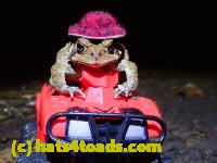 /home//u458753944/public_html/sourcegallery//////////McKaig Nature Center/2020-10-11/PA110711.JPG